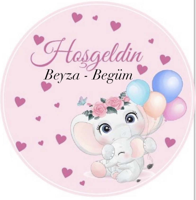 ARAMIZA HOŞGELDİN BEYZA - BEGÜM BEBEK