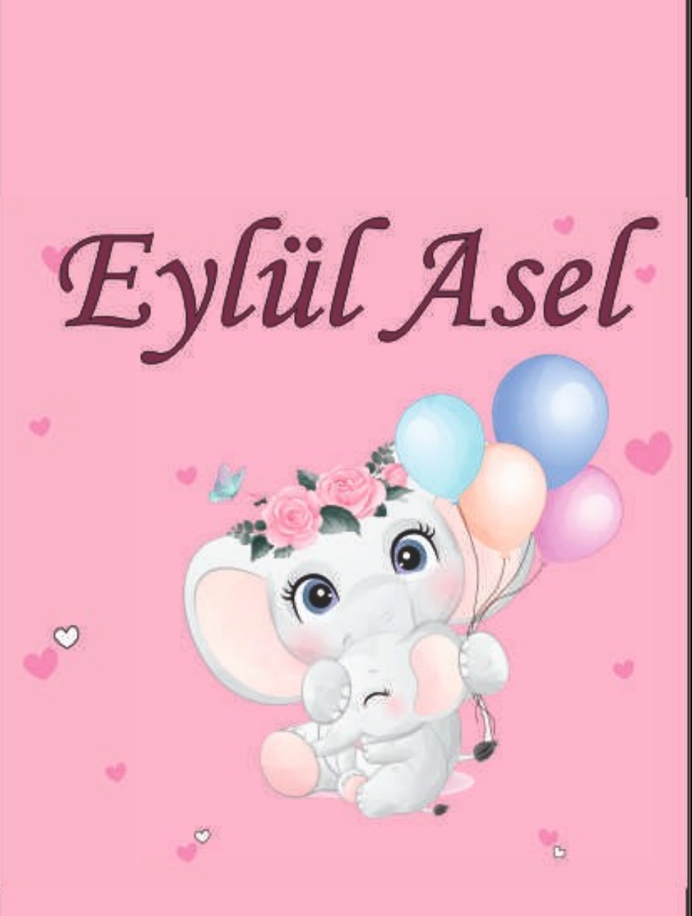 HOŞGELDİN EYLÜL ASEL